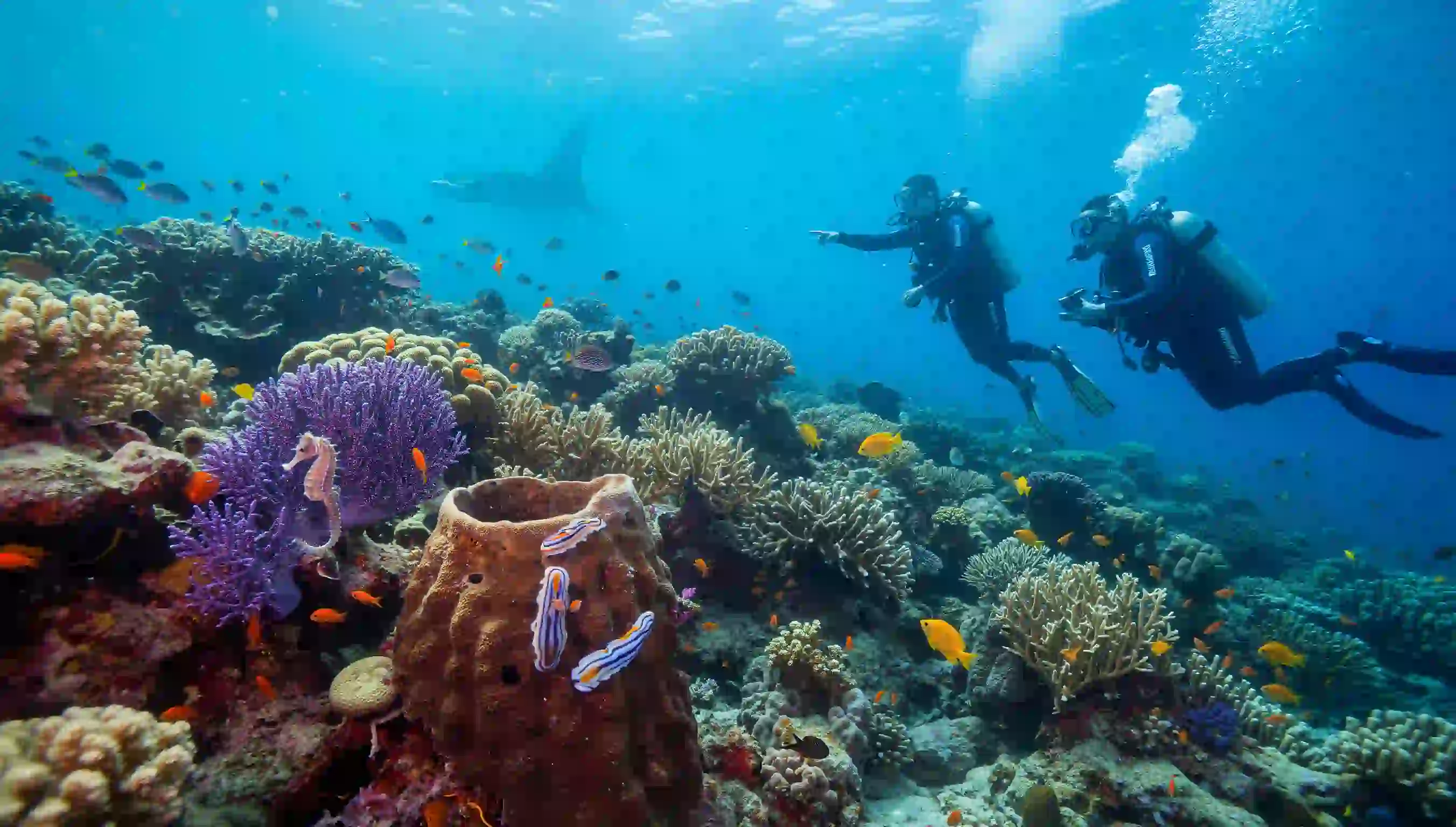 Bunaken | likupangresorts